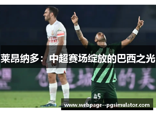 莱昂纳多：中超赛场绽放的巴西之光