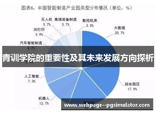青训学院的重要性及其未来发展方向探析