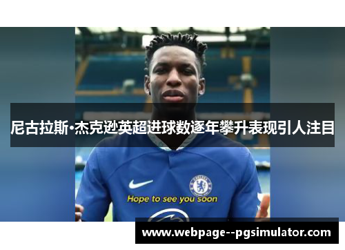 尼古拉斯·杰克逊英超进球数逐年攀升表现引人注目