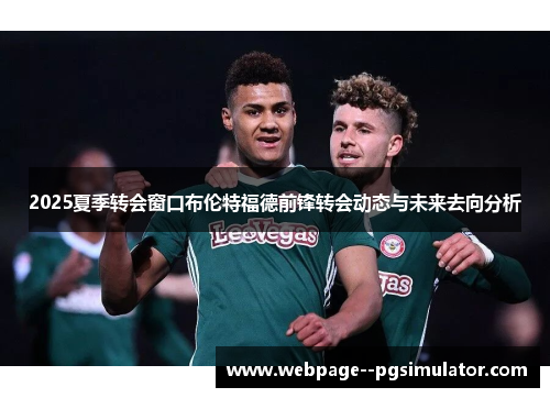 2025夏季转会窗口布伦特福德前锋转会动态与未来去向分析 2025夏季转会窗口布伦特福德前锋转会动态与未来去向分析